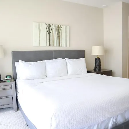 Downtown Houston High-Rise, A Powerhouse Of Luxury Apartment
